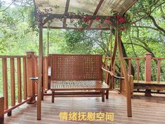 -广州白江湖森林公园