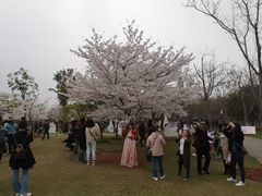-自然谷恐龙园