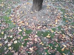 -苏州河梦清园环保主题公园