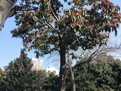 -常州古运河南大街文化旅游区-人民公园