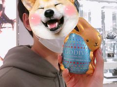 -GODIVA(王府井apm店)