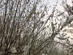 -宠福鑫动物医院(城北分院)