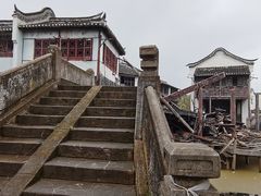 -上海鲜花港