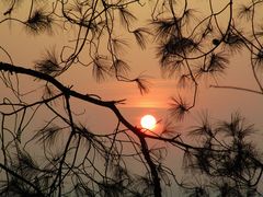 -铁山坪森林公园