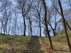 -南京老山国家森林公园