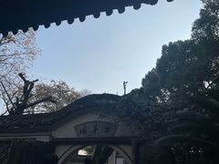 -绍兴鲁迅故里·沈园景区