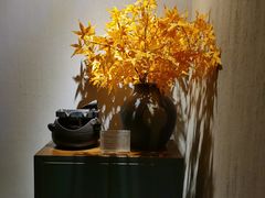 -Dragonfly 悠庭·按摩Spa(苏州中心广场店)