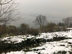 -天目湖涵田半山温泉