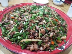 -东吴霸王兔(松青路店)