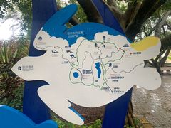 -广东惠东海龟国家级自然保护区
