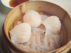 -御龙宴