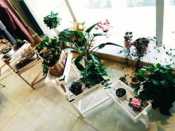 -Eling伊林彩妆·化妆培训(河西奥体店)