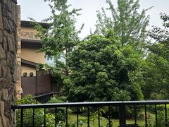 -浙江安吉JW万豪酒店·万豪中餐厅