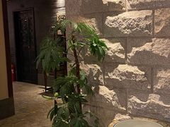 -樱蘭·影院足道·养生SPA(三里屯店)