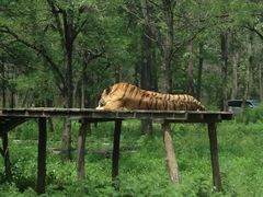 -秦皇岛野生动物园