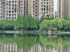 -成都南湖公园
