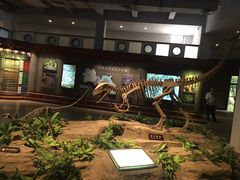 -自贡恐龙博物馆