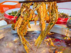 -青山青豆花·笑禅豆腐鱼(黄泥塝店)