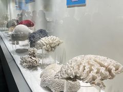 -西安曲江海洋极地公园