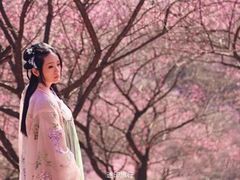 -新建村梅花