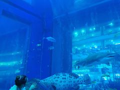 -成都浩海立方海洋公园