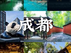 -成都大熊猫繁育研究基地