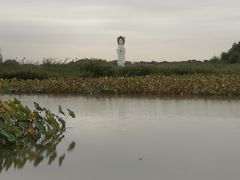 -白洋淀景区