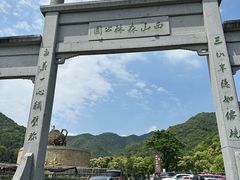 -龙坞茶村