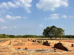 -盘龙城国家考古遗址公园