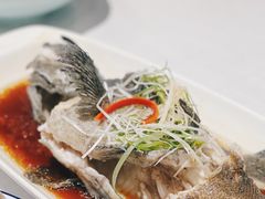 清蒸老虎斑-宝燕海货工场(长江国际店)