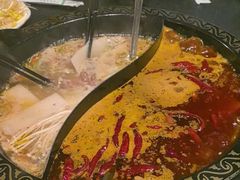 -小志家.鲜牦牛肉牛杂火锅野生菌汤锅