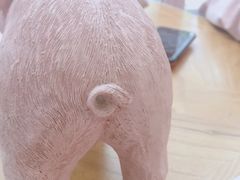-WHEN PIGS FLY当猪飞