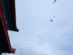 -八仙过海景区