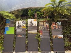 -怀托摩萤火虫洞