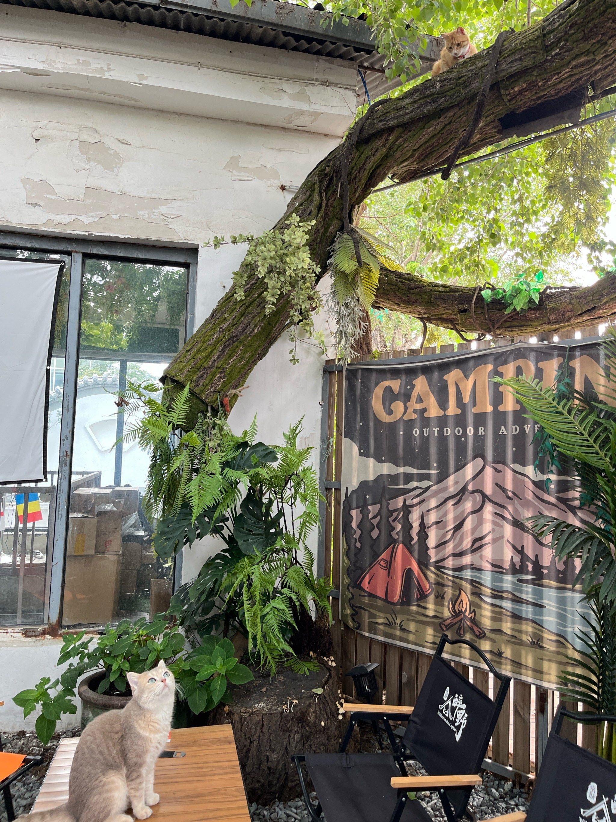 我大北京也有了!京城醉美club get