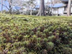 -三千院
