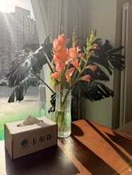 -卡尔诗·科技美肤连锁