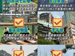 -重庆十八梯传统风貌区