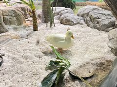 -海合安武汉极地海洋公园