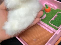 -TOYSRUS玩具反斗城(深圳布吉万象汇店)