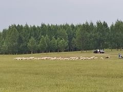 -塞罕坝国家级自然保护区