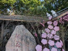 -金鸡湖桃花岛