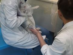 -佳怡动物医院·平价24小时·猫专科骨外科