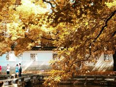 -西园戒幢律寺