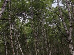 -灵山