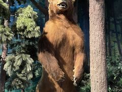 -陕西自然博物馆