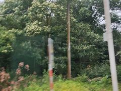 -莆田南少林寺