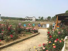 -武汉紫薇都市田园