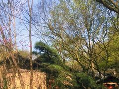 -法云安缦酒店