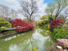 -上海醉白池公园